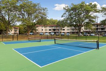 Pickleball court